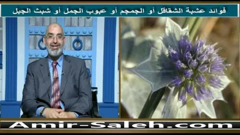 فوائد عشبة الشقاقل