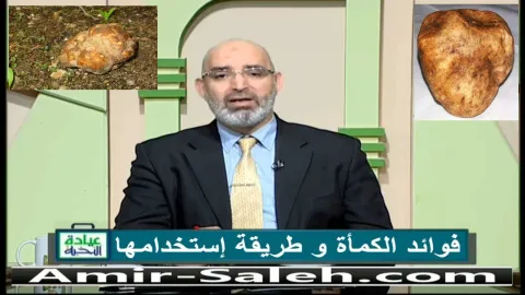 فوائد الكمأة و طريقة إستخدامها